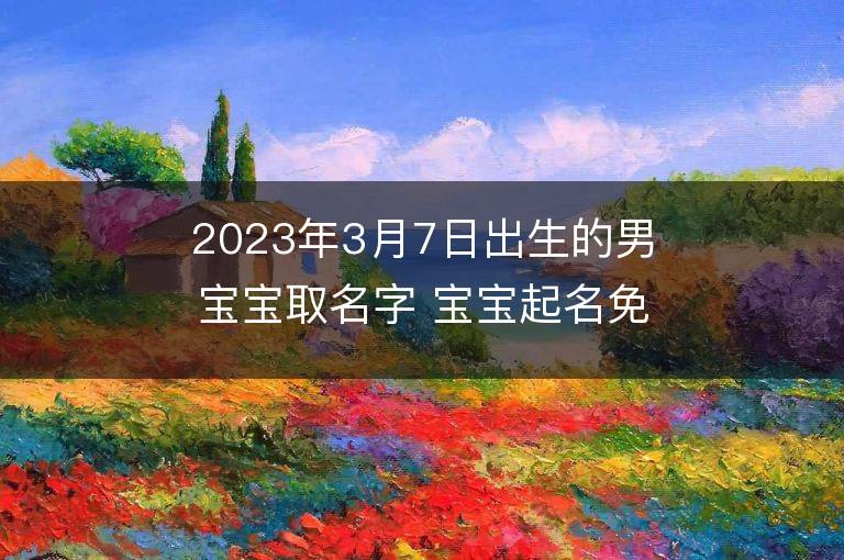 2023年3月7日出生的男宝宝取名字 宝宝起名免费取名字大全