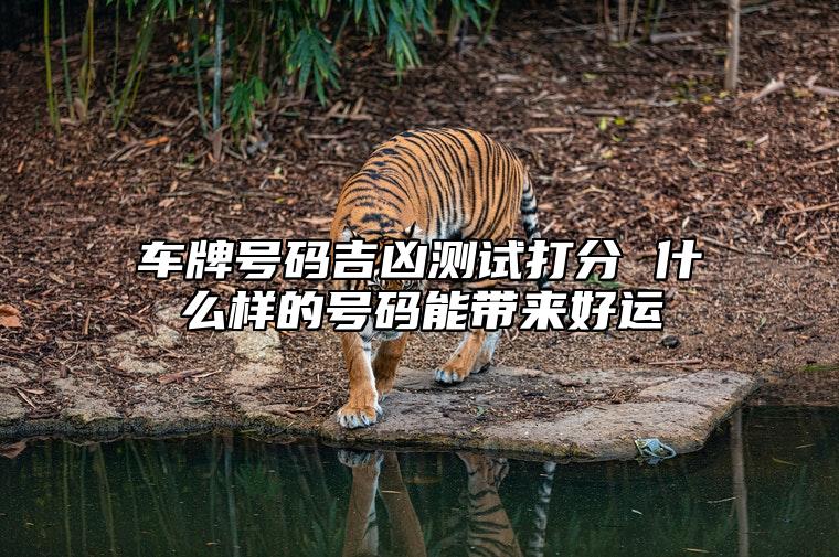 车牌号码吉凶测试打分 什么样的号码能带来好运 富贵大吉的手机尾号有哪些