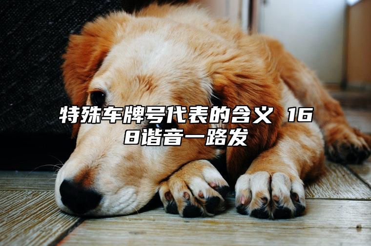 特殊车牌号代表的含义 168谐音一路发 手机号码好运数字