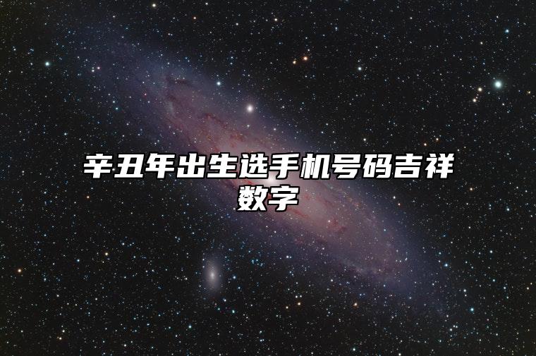 免费测手机号码吉八字：辛丑年出生选手机号码吉祥数字