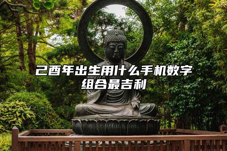 免费测手机号码吉八字：己酉年出生用什么手机数字组合最吉利