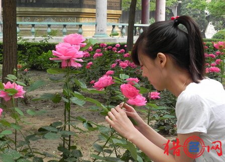 好听的申姓女孩取名大全