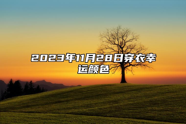 2023年11月28日穿衣幸运颜色 今日卦象分析