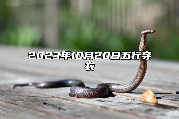 2023年10月20日五行穿衣 今日卦象分析