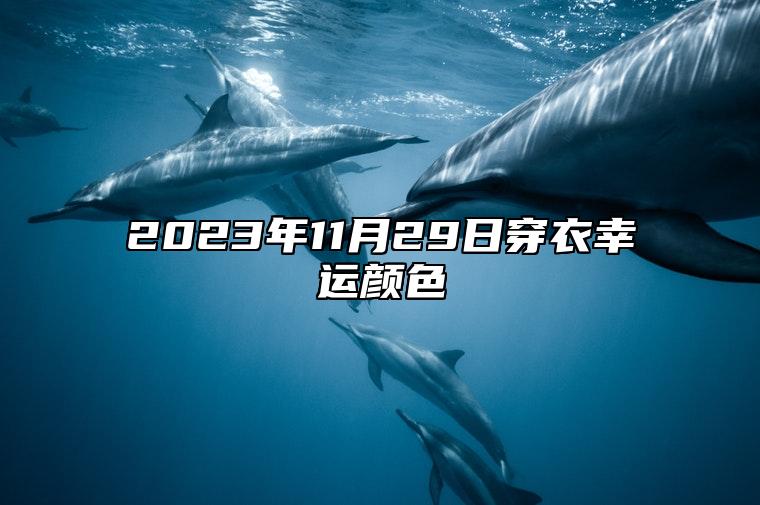 2023年11月29日穿衣幸运颜色 今日卦象分析